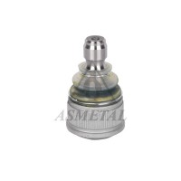 10MZ0500 ASMETAL Шарнір незалежної підвіски поворотного важеля