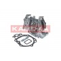 T0242 KAMOKA Водяний насос охолодження двигуна