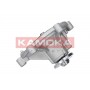 T0194 KAMOKA Водяний насос охолодження двигуна
