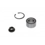 WBK-4536 KAVO PARTS Комплект підшипника ступиці колеса