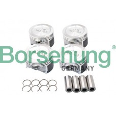 B13578 Borsehung Комплект поршнів