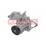 T0134 KAMOKA Водяний насос охолодження двигуна