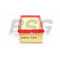 BSG 30-135-015 BSG Повітряний фільтр
