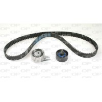 TBK5119.01 OPEN PARTS Комплект ременя ГРМ