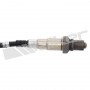 250-24428 WALKER PRODUCTS датчик кисню