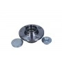 33-0405 MAXGEAR Комплект підшипника ступиці колеса