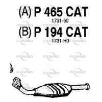 P465CAT FENNO Катализатор