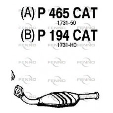 P465CAT FENNO Катализатор