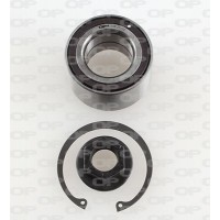 HBK5006.01 OPEN PARTS Комплект підшипника ступиці колеса