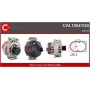 CAL15541GS CASCO Генератор
