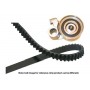 DKT-9019 KAVO PARTS Комплект ременя ГРМ