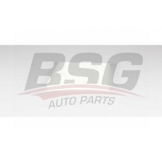 BSG 40-145-018 BSG Фільтр повітря у внутрішньому просторі