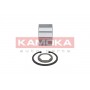 5600031 KAMOKA Комплект підшипника ступиці колеса