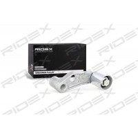 313D0049 RIDEX Паразитный / Ведущий ролик, Зубчастий ремінь