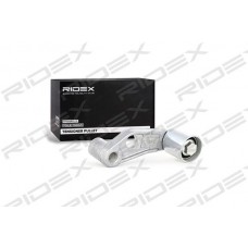 313D0049 RIDEX Паразитный / Ведущий ролик, Зубчастий ремінь