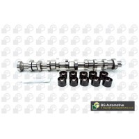 WG1490646 WILMINK GROUP Комплект розподільного валу