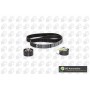 WG1488031 WILMINK GROUP Комплект ременя ГРМ