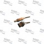 M0133A2 AUTOTEAM датчик кисню