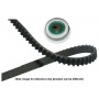 DKT-5565 KAVO PARTS Комплект ременя ГРМ