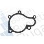 PA10066 BUGATTI Водяний насос охолодження двигуна