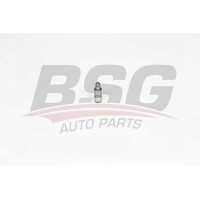 BSG 90-122-019 BSG Толкатель