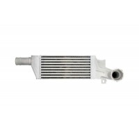 Интеркулер THERMOTEC DAX009TT