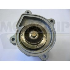 VWP874 MOTAQUIP Водяний насос охолодження двигуна