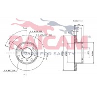 RD01034 RAICAM Гальмівний диск