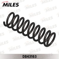 DB43163 MILES Пружина ходової частини