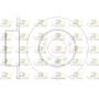 61412.00 ROADHOUSE Гальмівний диск