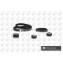 WG1488104 WILMINK GROUP Комплект ременя ГРМ