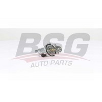 BSG 15-125-005 BSG Термостат охолоджувальна рідина