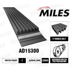 AD15300 MILES Поліклиновий ремінь