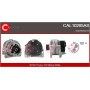 CAL10205AS CASCO Генератор