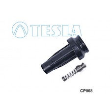 CP068 TESLA Вилка, Свічка запалювання