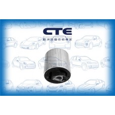 CBH09023 CTE Підвіска важіль незалежної підвіски колеса