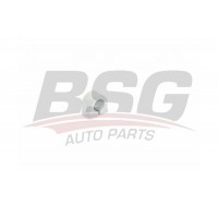 BSG75700011 BSG Опора стабілізатора