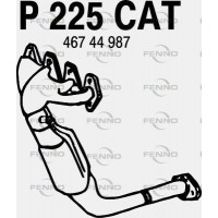 P225CAT FENNO Катализатор