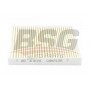 BSG 30-145-018 BSG Фільтр повітря у внутрішньому просторі