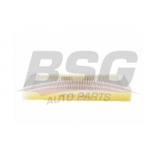 BSG 15-145-016 BSG Фільтр повітря у внутрішньому просторі