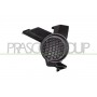 DS7101249 PRASCO Облицювання протитуманна фара