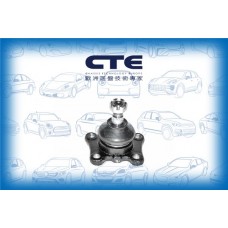 CBJ02011 CTE Шарнір незалежної підвіски поворотного важеля