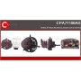CPA71106AS CASCO Паливний насос