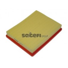 CA10191 FRAM Повітряний фільтр
