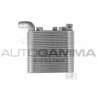Интеркулер AUTOGAMMA 107321