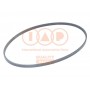 140-17002 IAP QUALITY PARTS Поліклиновий ремінь
