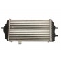 Интеркулер THERMOTEC DA05007TT