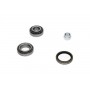 WBK-4007 KAVO PARTS Комплект підшипника ступиці колеса