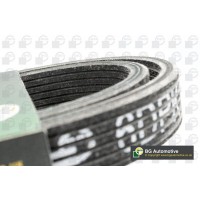WG1990855 WILMINK GROUP Поліклиновий ремінь