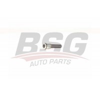 BSG 70-700-053 BSG Підвіска важіль незалежної підвіски колеса